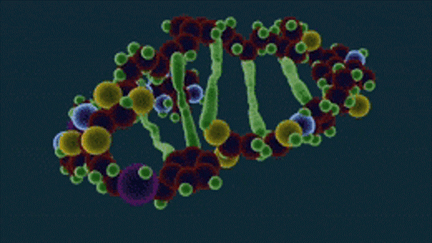 Biochemistry