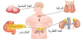 مح 07 التوازن النفسي الهرموني