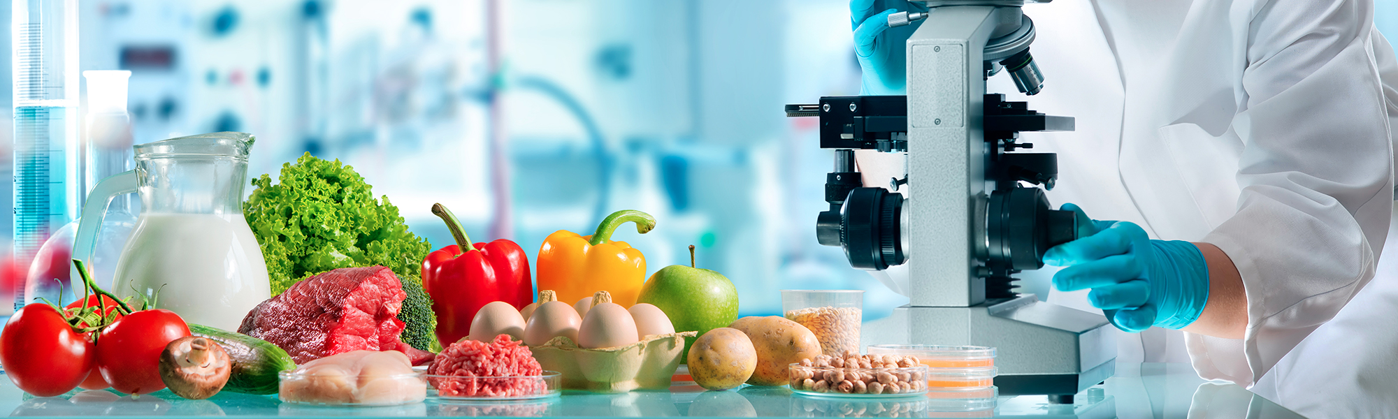 Cours Microbiologie Alimentaire 2025