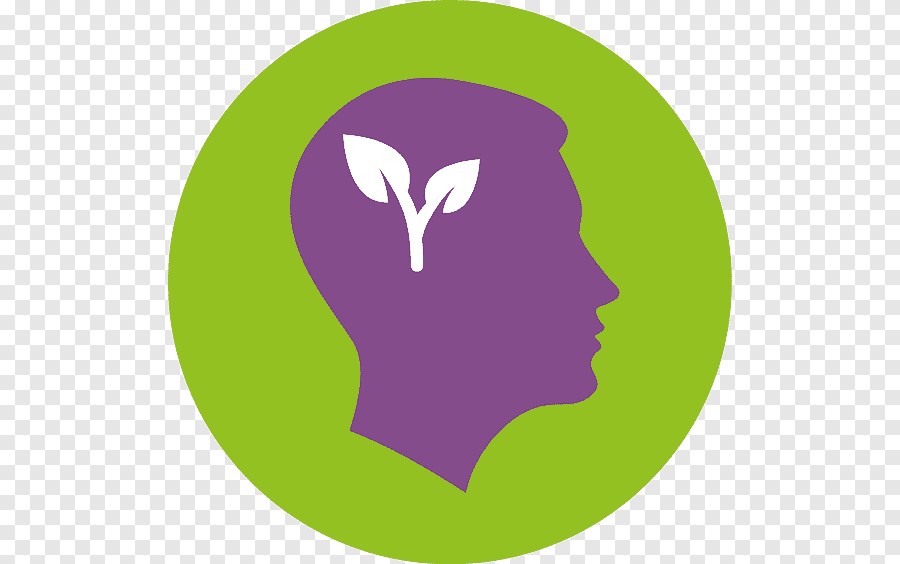 مقرر علم النفس النمو ( 2ليسانس تربية) 2025-2026 أ. سليماني حليمة جامعة بشار 