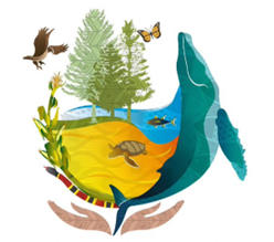 Environnement minier: normes et législation