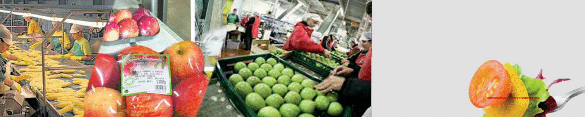 Technologies des Industries Agro- Alimentaires 