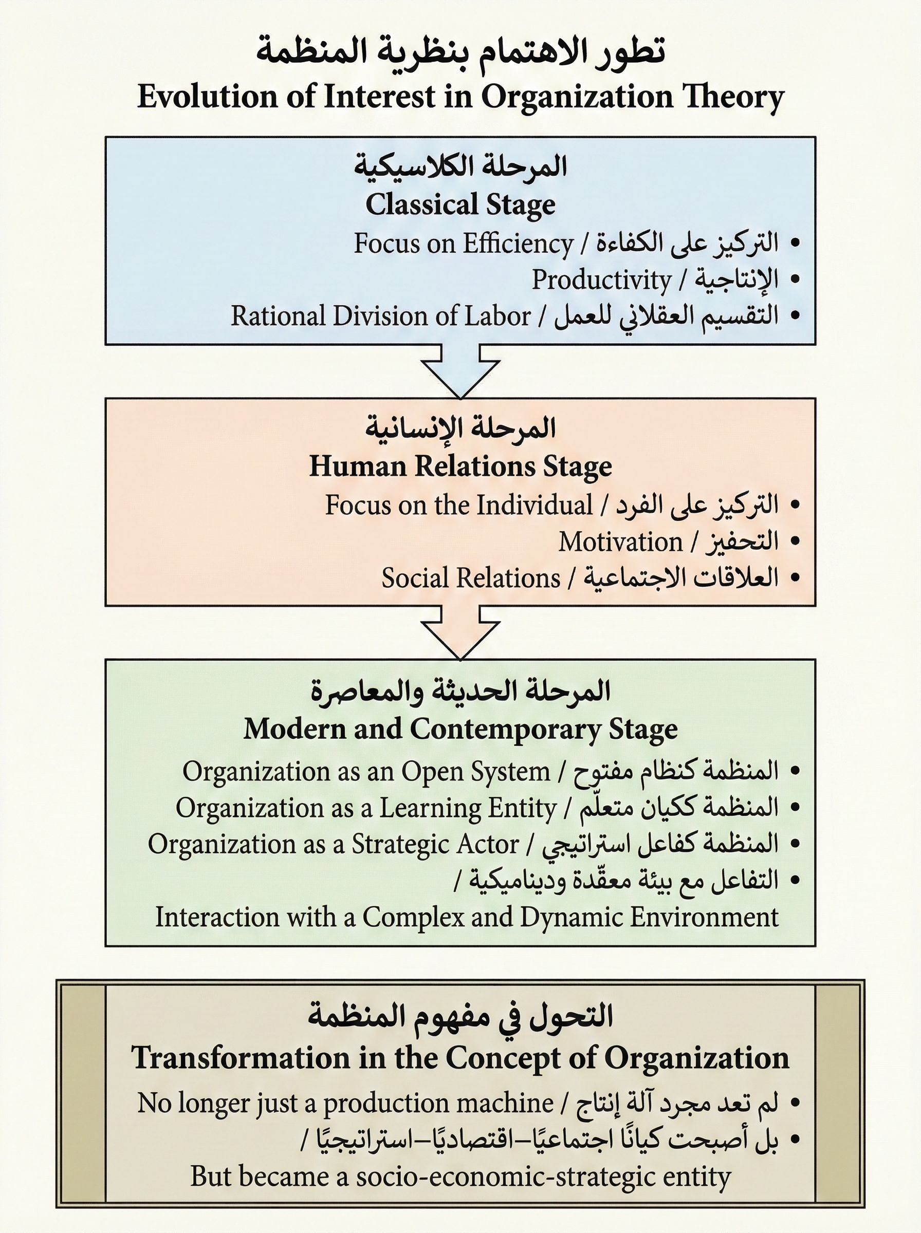 نظرية المنظمة