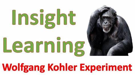 Theory of insightful Learning: