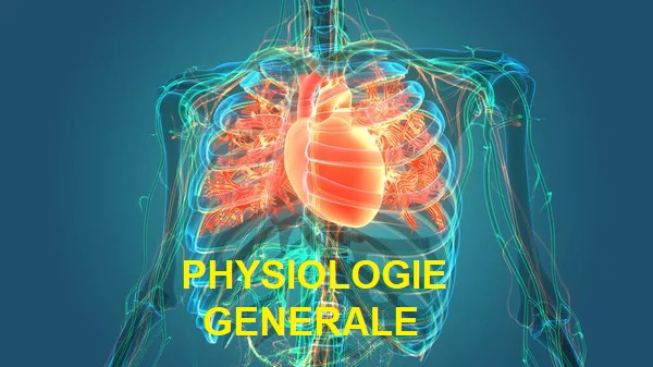 Physiologie Génerale